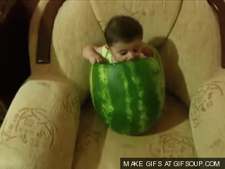 287808_727964 (1).gif