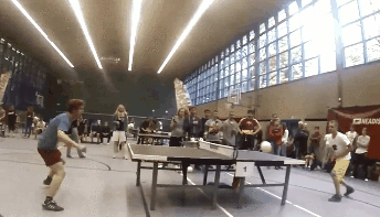 2898963-17.gif