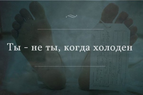 2907155-R3L8T8D-600-tiOvJhpnhfs.jpg