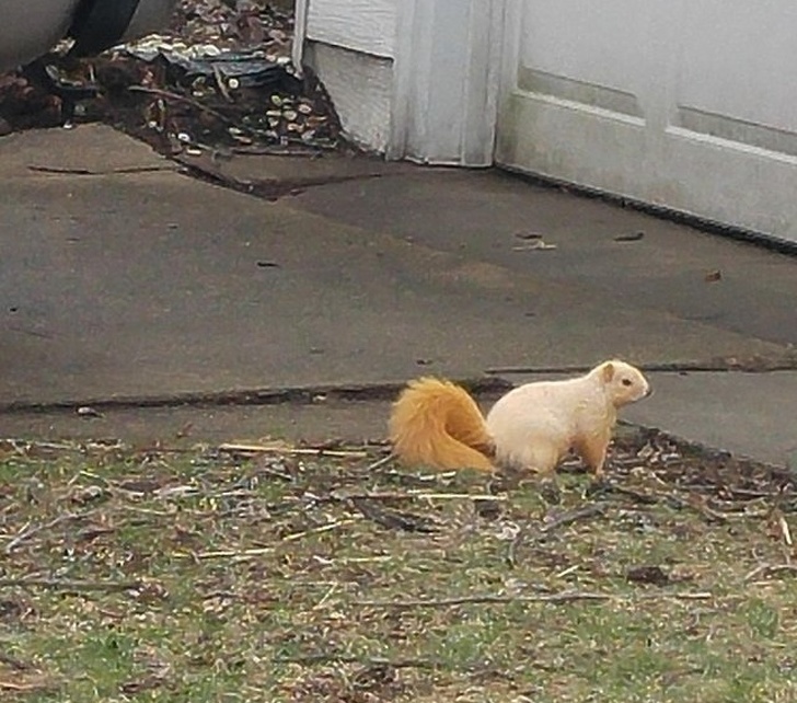 29604015-image-crop-640x565-1543533316-728-9e9c365fcd-1545132837.jpg