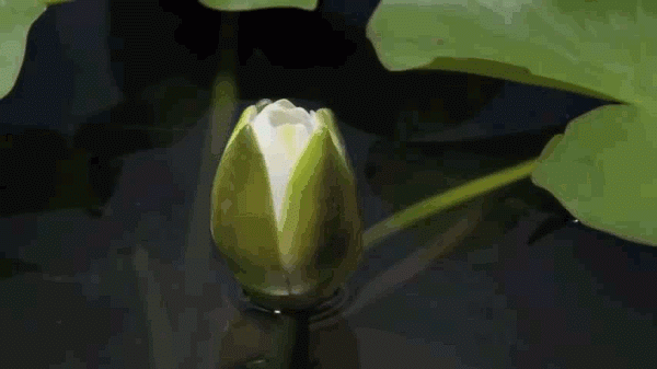 29916593b25ac006e3a96523e3873d80.gif