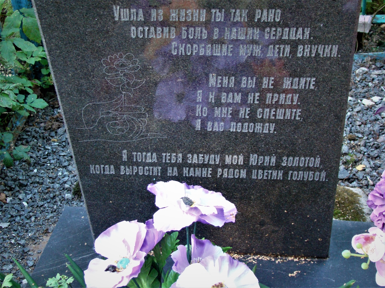 2CRFRzBe758.jpg