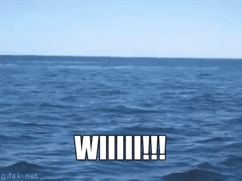 3а4васм.gif
