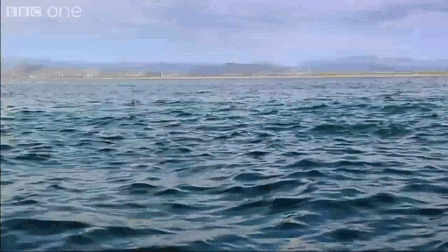 3в3ывы2цыф.gif
