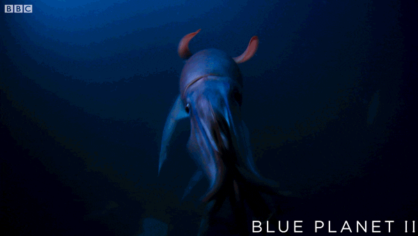 3у.gif