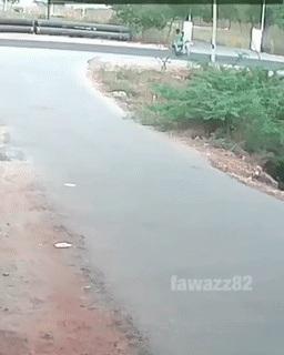 3 (4).gif