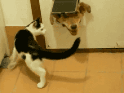 3112013123734.gif