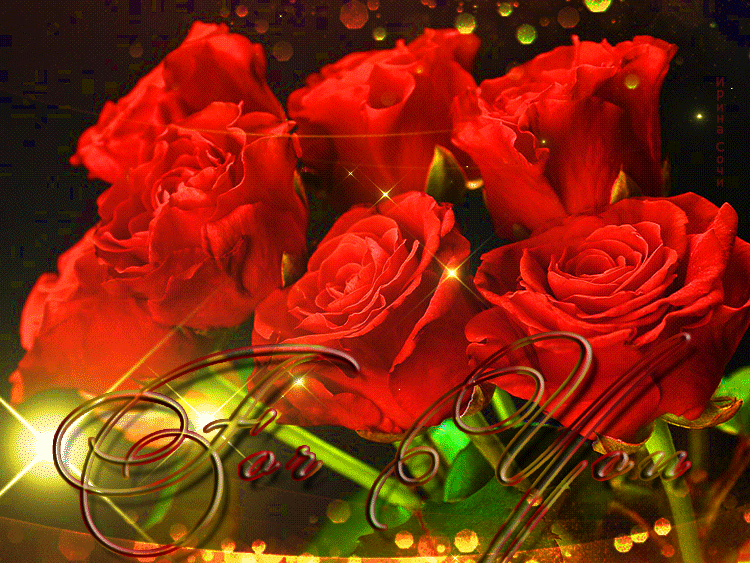 312714-Roses-For-You.gif