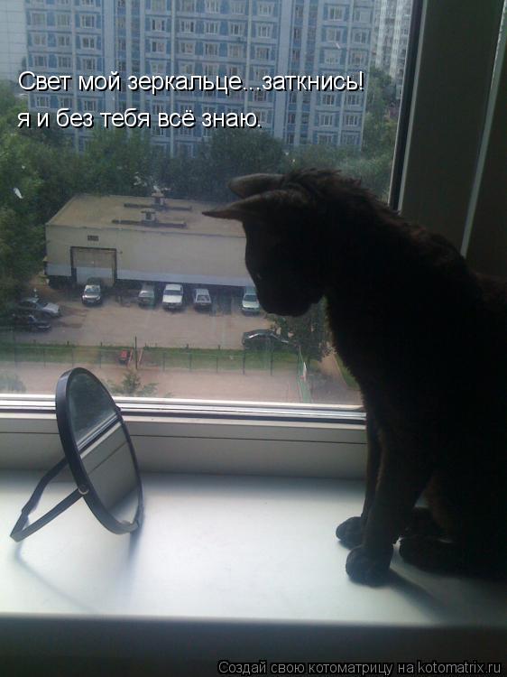 320031.jpg