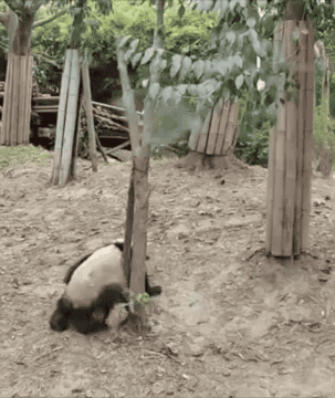 3277-Oblomal-process.gif