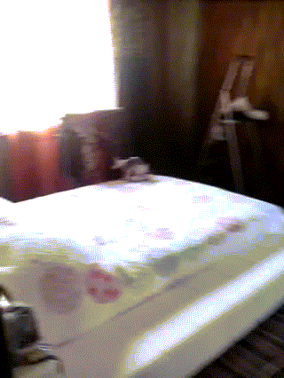 3355-Kogda-u-tebya-doma-svoj-lichnyj-monstrik.gif