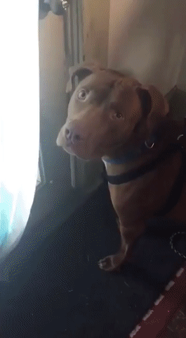3413-Kogda-prosishsya-u-mamy-v-bassejn.gif