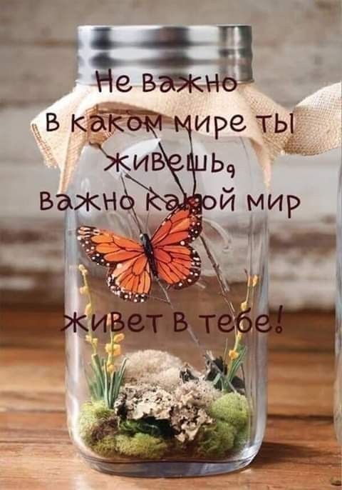 39одн.jpg