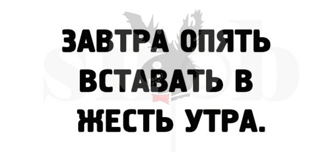 3Ebce-eDYQk.jpg
