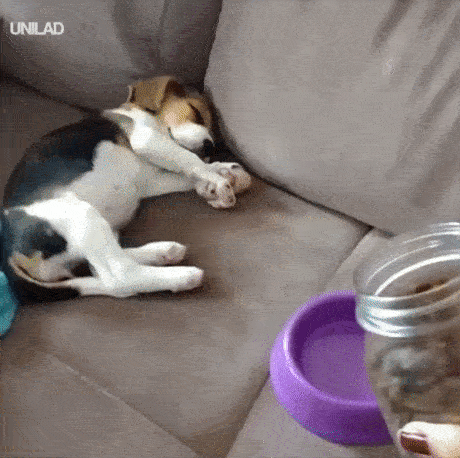 4п3.gif