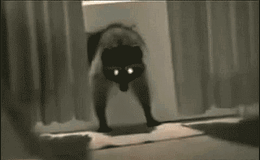 4-04.gif