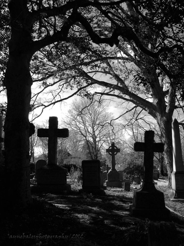 44f440ac925971a6b41ed2a8af7e487a--cemetery-spaces.jpg
