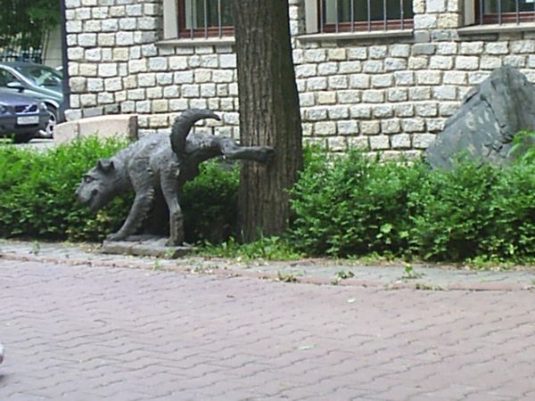 46c0d4e691921.jpg
