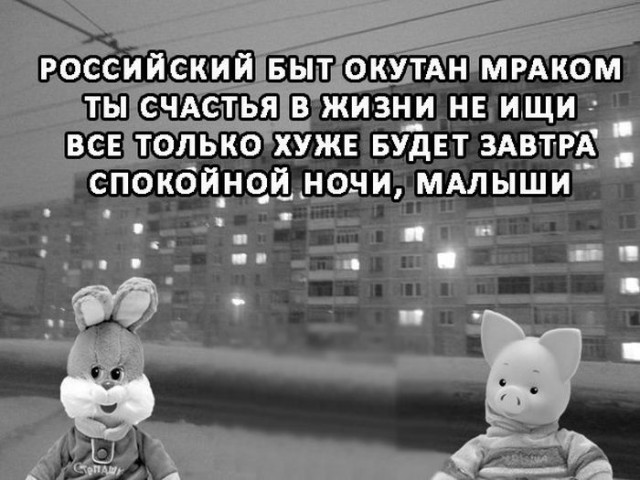 4804454.jpg