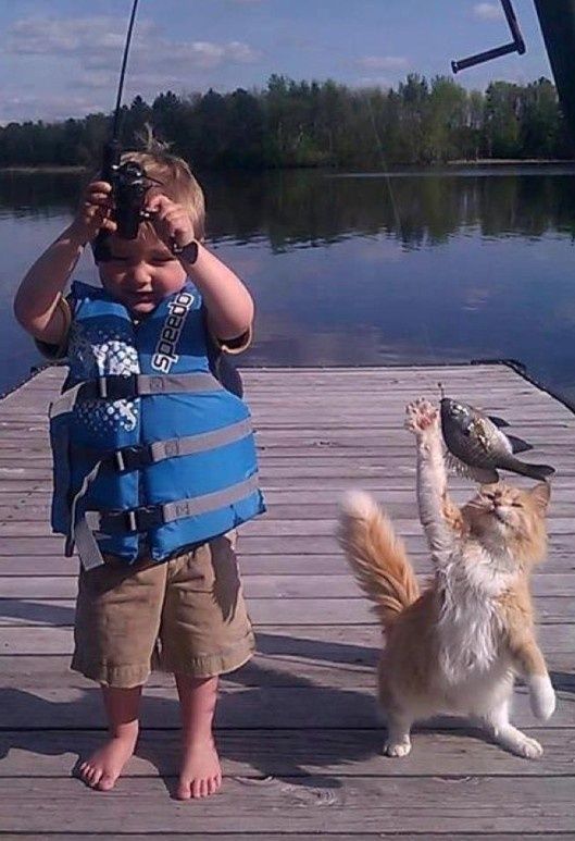 4aa7bf41b88762431ffebb6a67e3ecbc--so-cute-funny-stuff.jpg