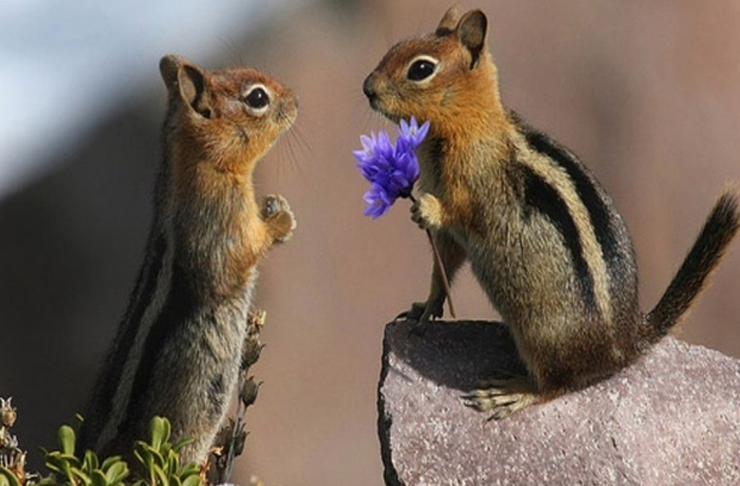 50-ways-to-up-your-romance-game.png