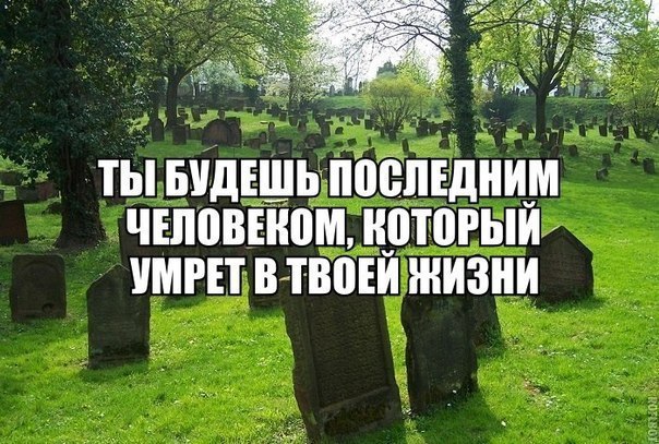 50IHjqJHgqE.jpg