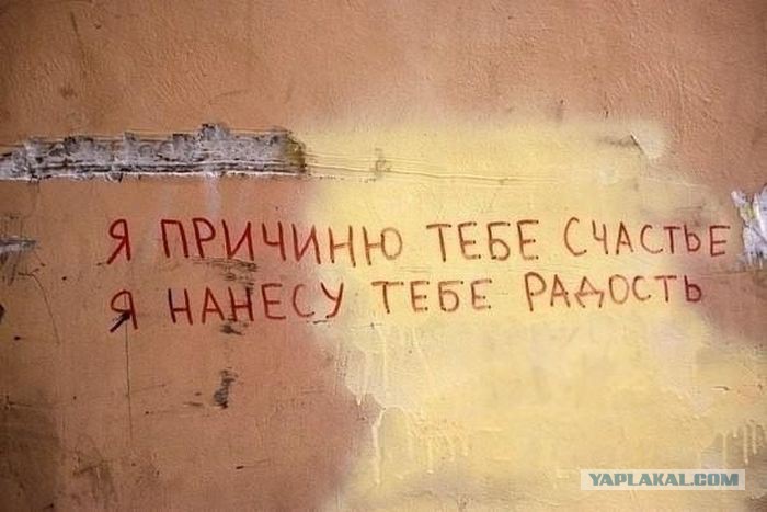 5152316.jpg