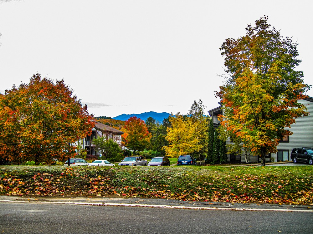 550907_1000.jpg