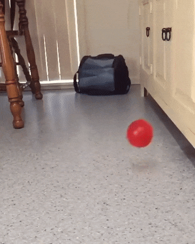 57a2de948fe00.gif