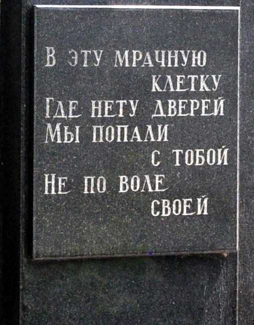 5I7MAGA5-uM.jpg
