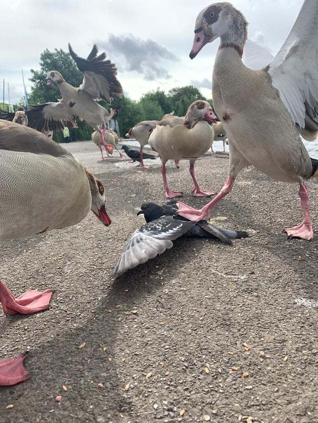 5N0bD4DIuW4.jpg