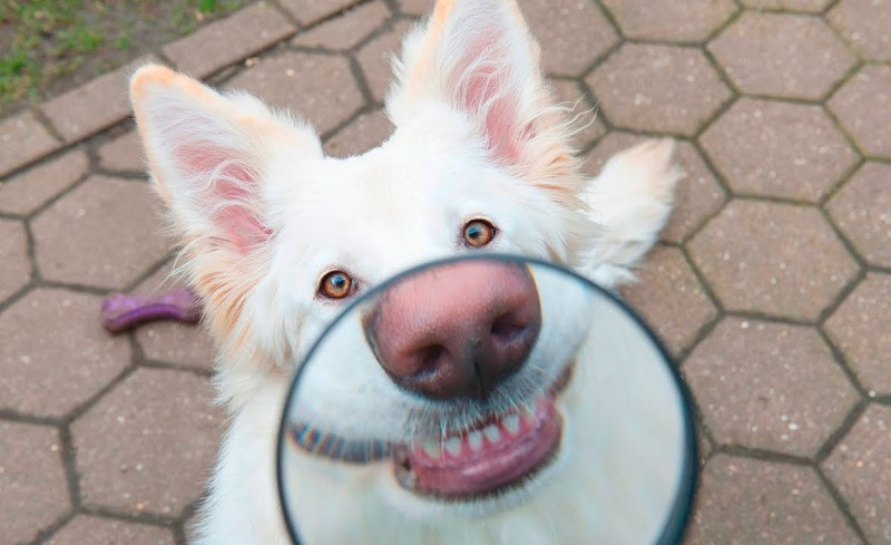 5smile.jpg