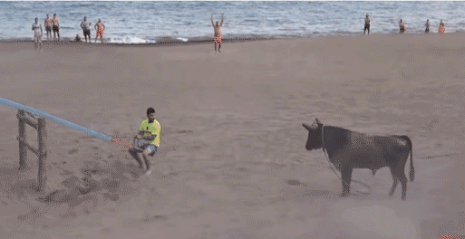 6.gif