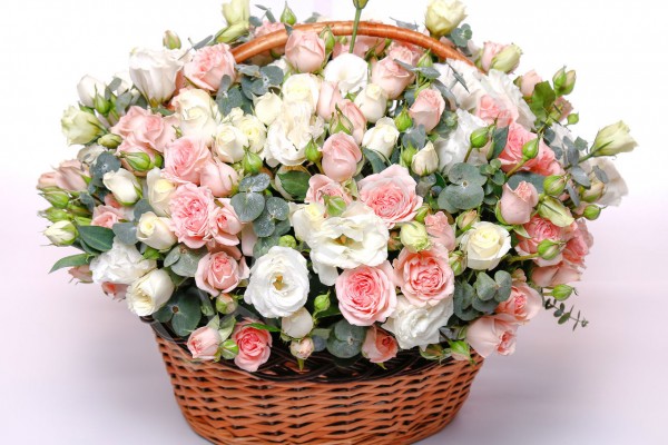 600x400-crop-90-30.jpg