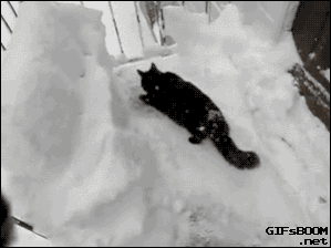 602774405e9cfdf0156b953d908f07cf.gif