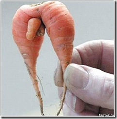 60935099_thumb.jpg