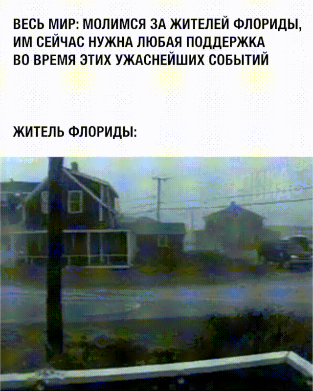 640x800.gif