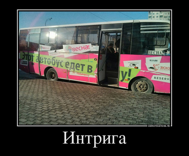 665398706607-intriga.jpg