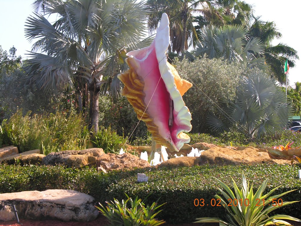 67698119.jpg