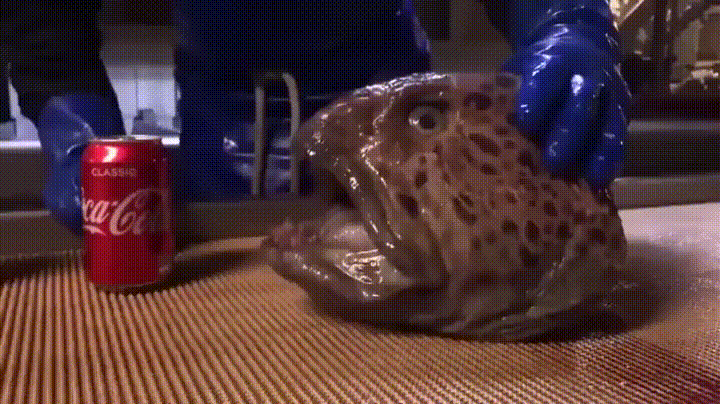 6_sec.gif