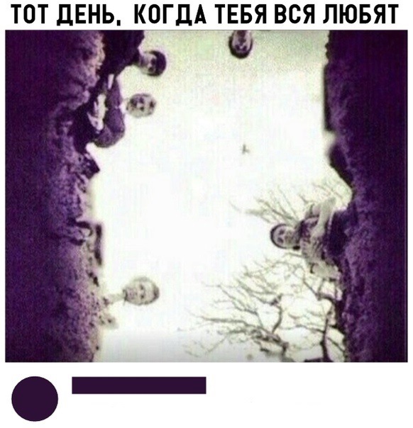 6da34bd73423.jpg