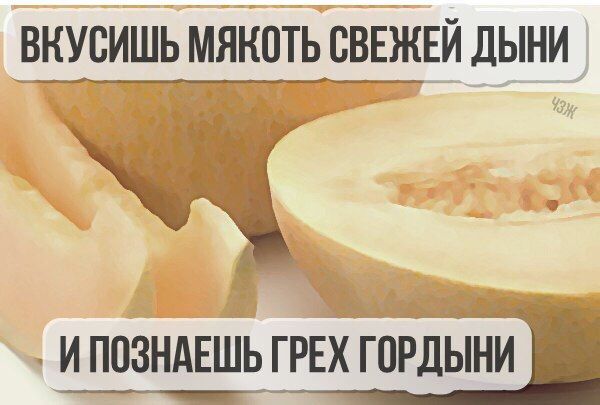 6G7tsJJimj8.jpg