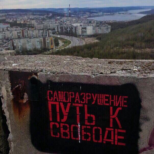 6vzAD6e3i6w.jpg