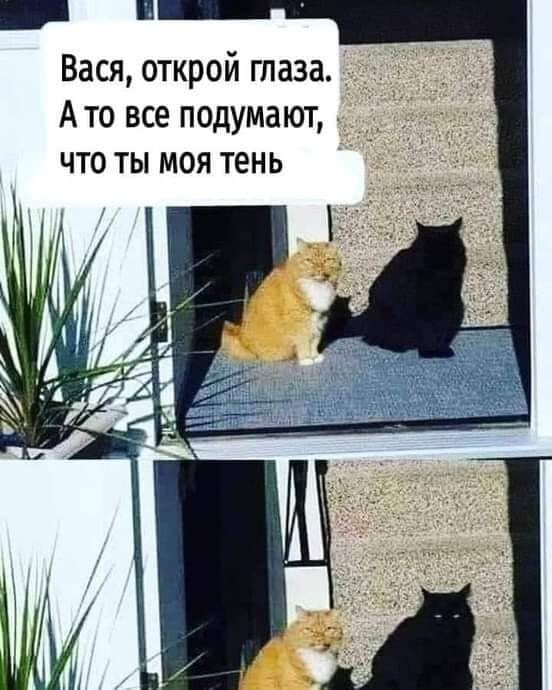 72.jpg