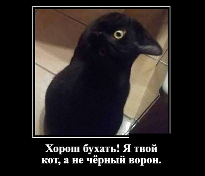 73.jpg