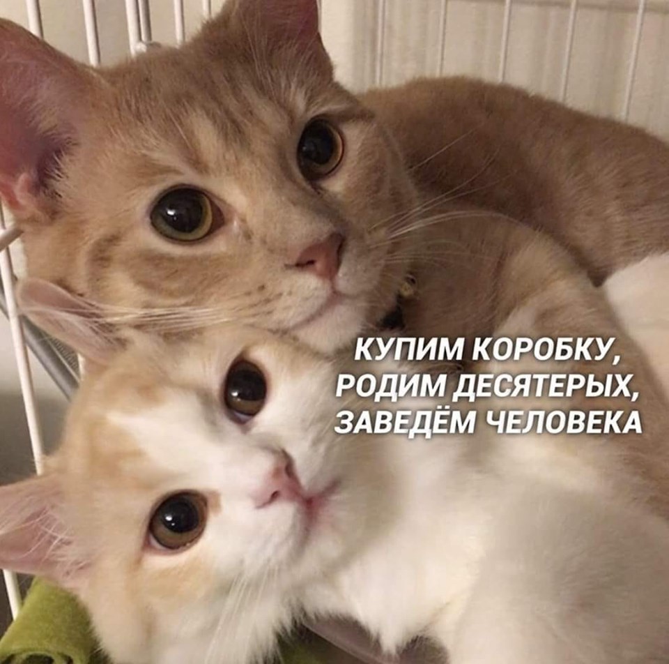 73474965_206021397070901_6277761423762259968_n.jpg
