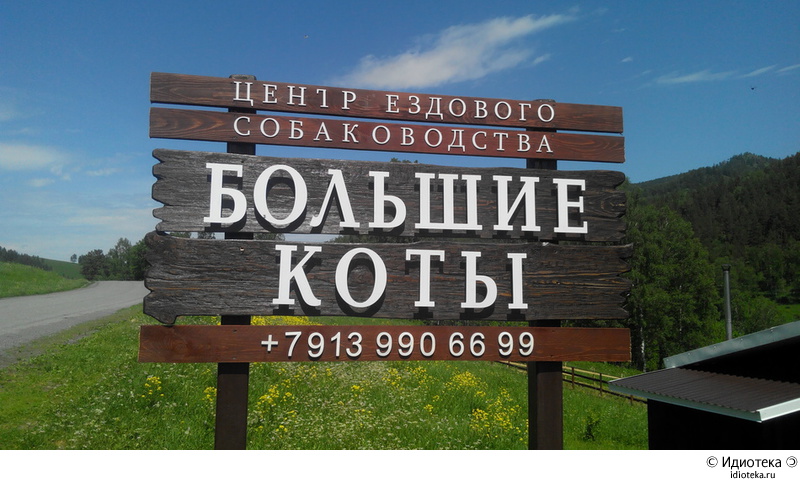 74385D27-32E9-453A-9F45-F09FC6F62813.jpg