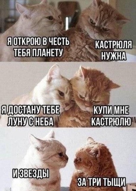 75.jpg