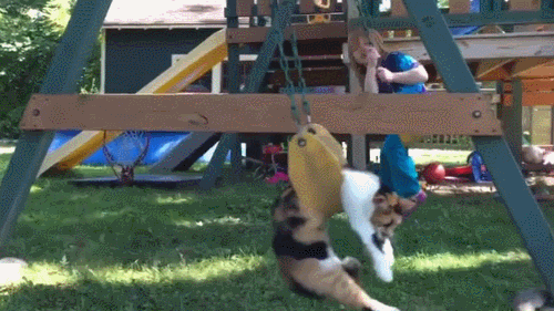 7543b722c09e.gif