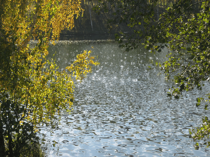 7910105.gif